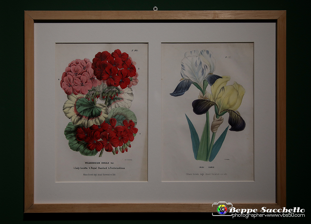 VBS_1739 - Castello di Miradolo - Mostra Oltre il giardino l'Abbecedario di paolo Pejrone.jpg